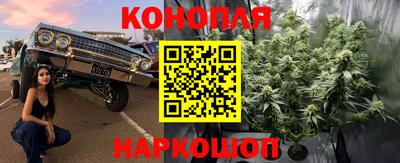 прущие грибы Канаш