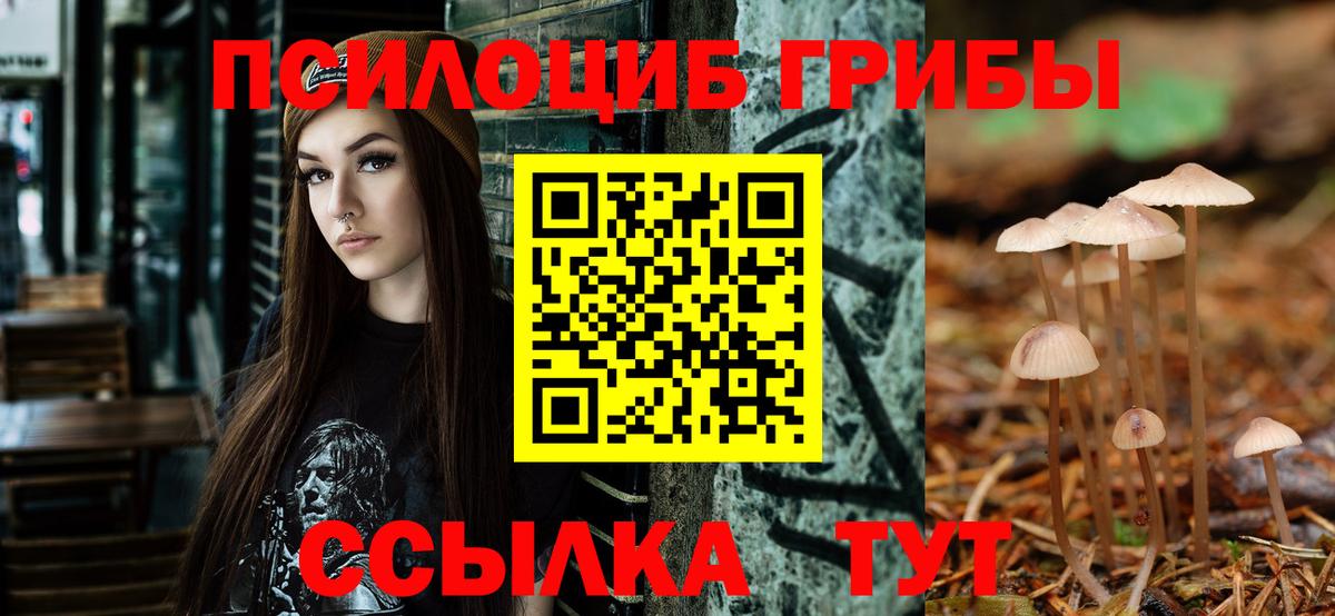 Псилоцибиновые грибы прущие грибы  Вход с VPN  Галлюциногенные грибы GOLDEN TEACHER  Ливны 